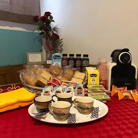 Domus Narciso Gallery *