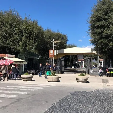 Domus Narciso Gallery B&B