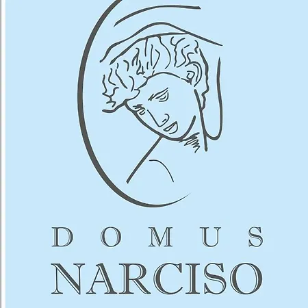 Domus Narciso Gallery