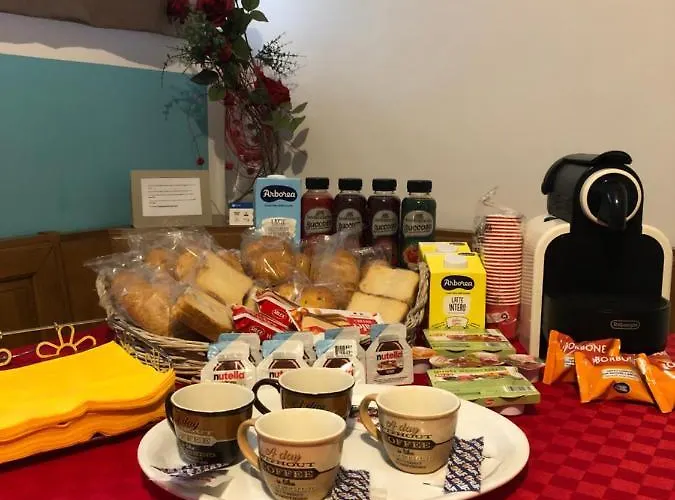 Domus Narciso Gallery *