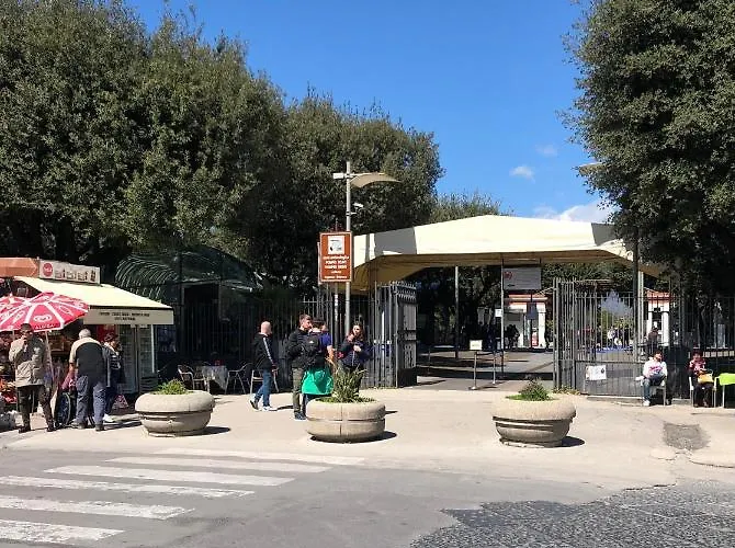 Domus Narciso Gallery Bed & Breakfast