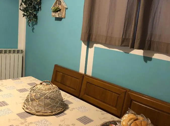 Domus Narciso Gallery *