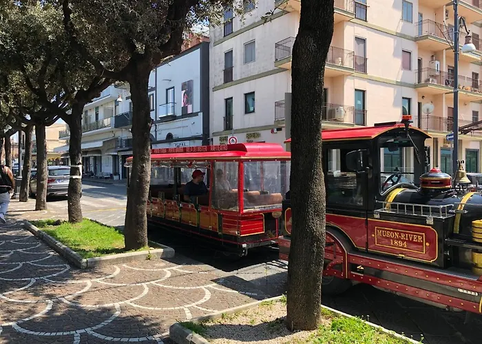 Domus Narciso Gallery